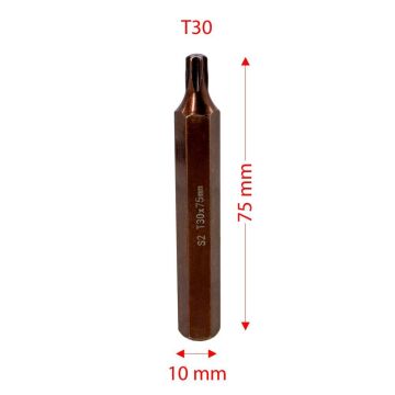 6566 Uzun Torx Bits Uç T30x75 mm (10 mm Saplı)