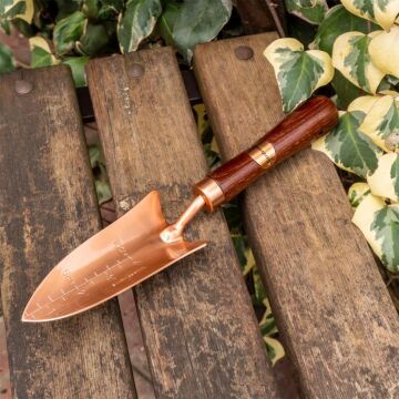 Gardenwind Tulip 1803 Paslanmaz Çelik Bahçe Dar Kürek