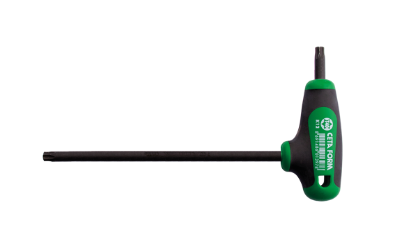 CETA-FORM K12-010-100 T Saplı Torx Alyan T10