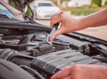 BOSCH 26 Parça Lokma - Bits ve Pense Alet Seti (1600A02BY2)