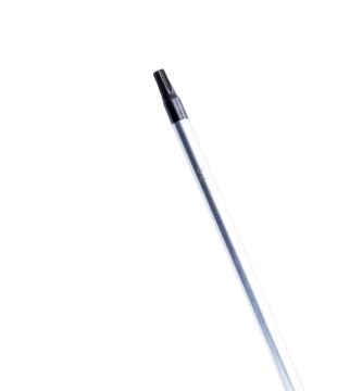 BOSCH Profesyonel T20 x 100 mm Deliksiz Torx Tornavida (1600A01V0C)