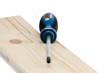 BOSCH Profesyonel T40 x 125 mm Deliksiz Torx Tornavida (1600A01V0F)