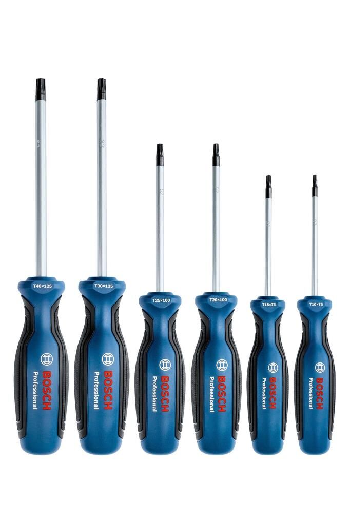 BOSCH Profesyonel 6 Parça Torx Tornavida Takımı (1600A01V09)