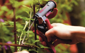 Rapid GP238 BAHÇE PENSESİ - 24311200