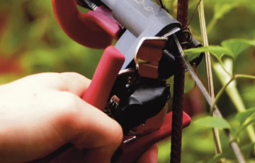 Rapid GP238 BAHÇE PENSESİ - 24311200