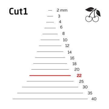 Kirschen 3101022 Düz Ağız Oyma Iskarpela Cut1 - 22mm