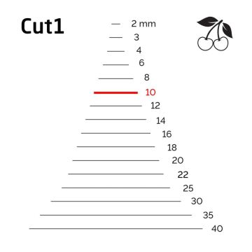 Kirschen 3101010 Düz Ağız Oyma Iskarpela Cut1 - 10mm
