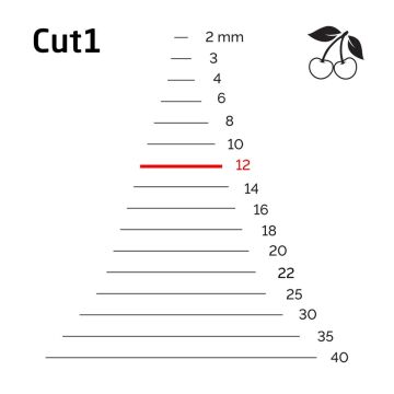 Kirschen 3101012 Düz Ağız Oyma Iskarpela Cut1 - 12mm