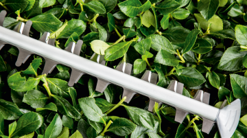 BOSCH Universal HedgeCut 60 Çit Kesme Makinası